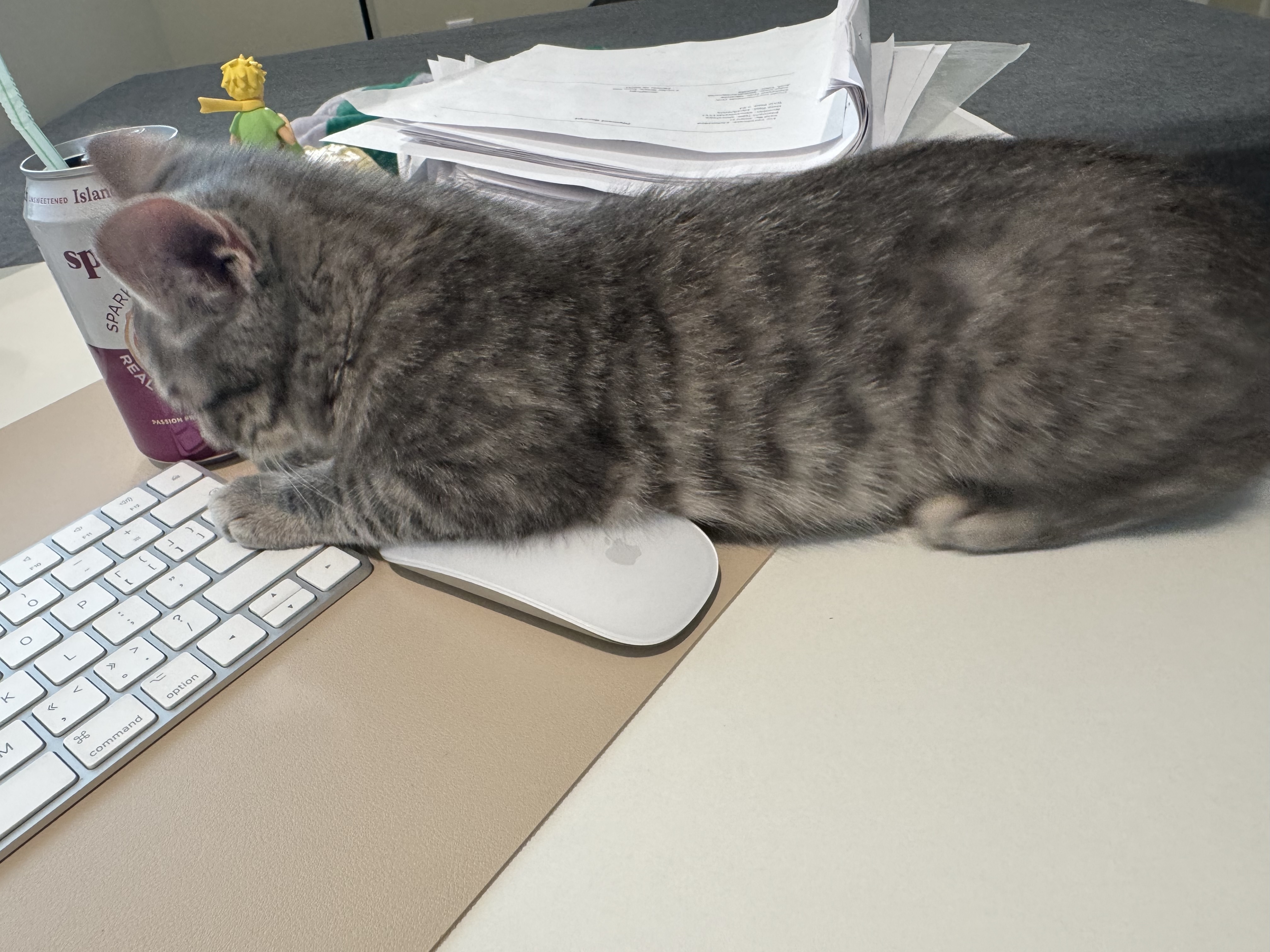 Friday is here to help